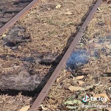 Maui Fire - National guard blocks entrance to Maui neighborhood as the ground still smolders.