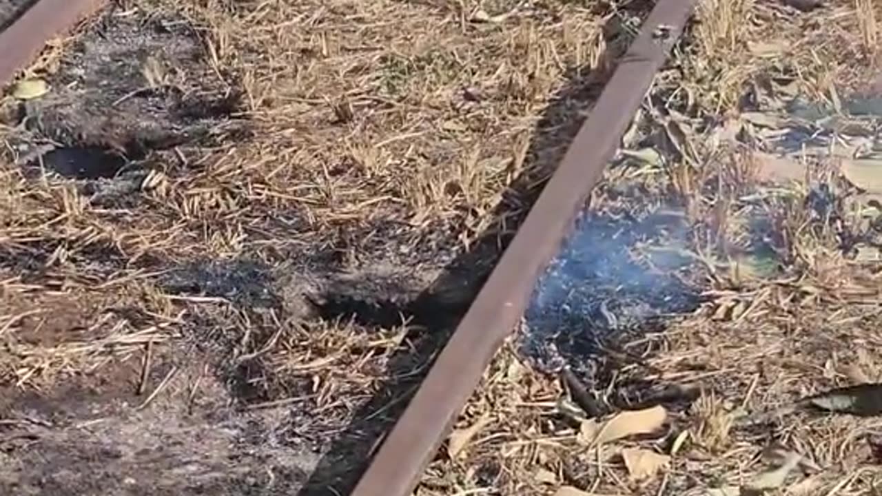 Maui Fire - National guard blocks entrance to Maui neighborhood as the ground still smolders.