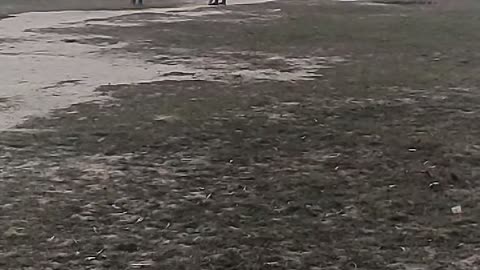 India cricket match /