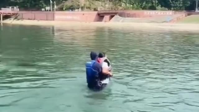 new funny video, they re suppose to be fly, but they choose diving instead 😂😂