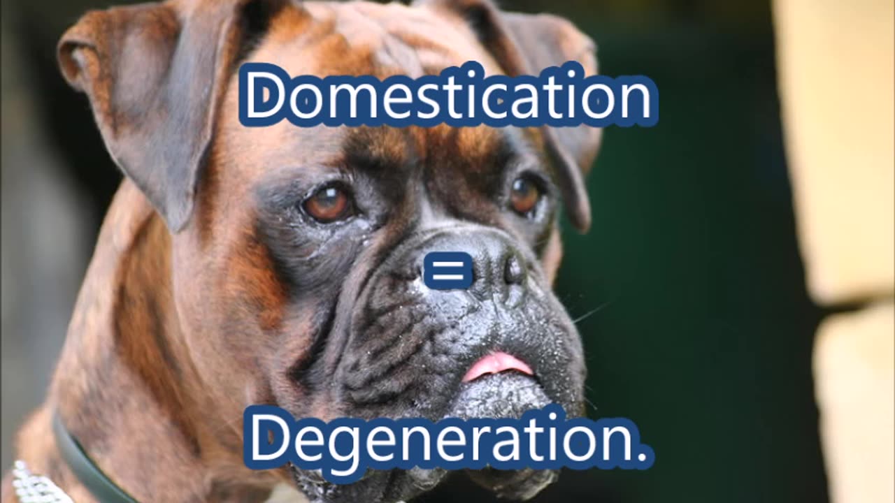 Thulean Perspective - Death from Degeneration!?