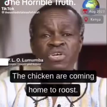 Kenyan lawyer and activist, P. L. O. Lumumba says that mayhem in France is a payback