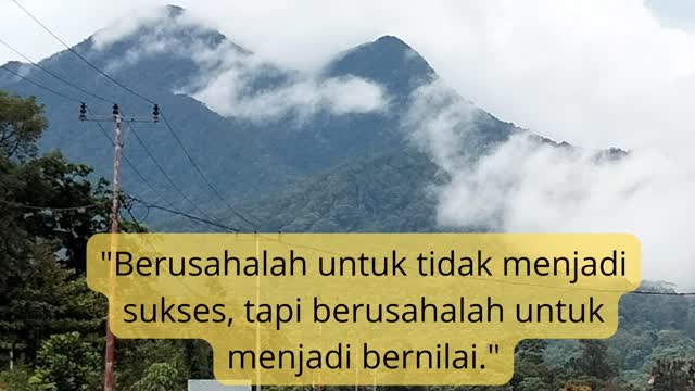 Quotes