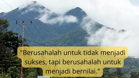 Quotes