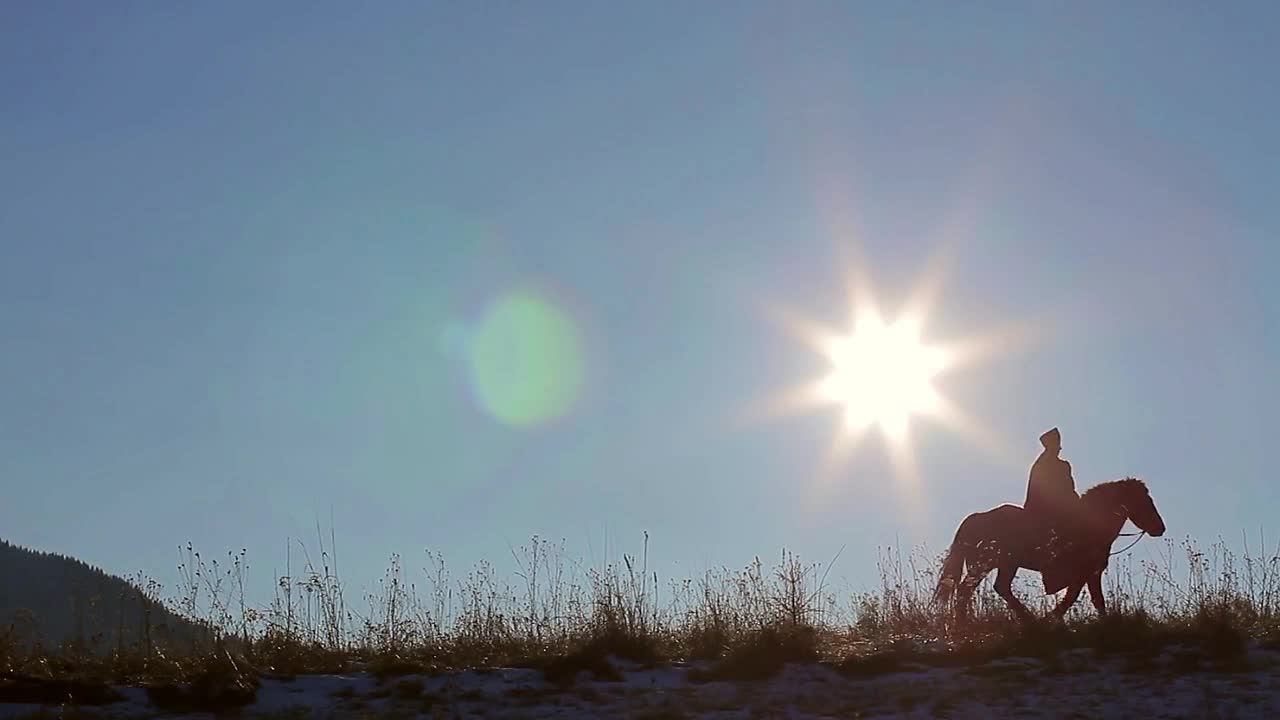 Horse rises to the top of the mountain