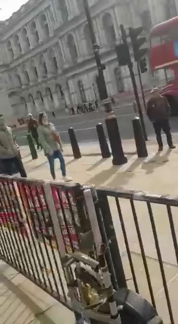 Circus came into town