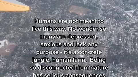 Humans are not meant to live this way. No wonder so many are depressed, anxious and lack any