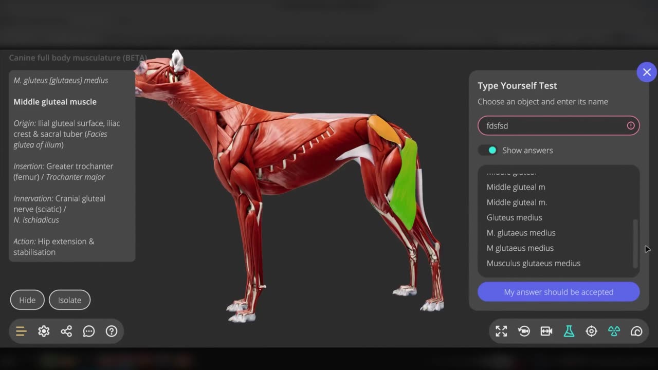 Getting started with the 3D veterinary content - ivalalearn.com