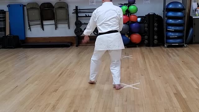 (3) Pinan Nidan Side View