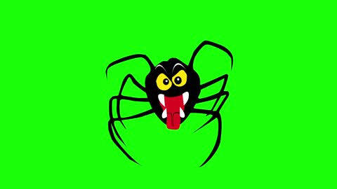 ree green screen Spider