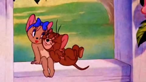 Attitude Tom and Jerry funny video cartoon