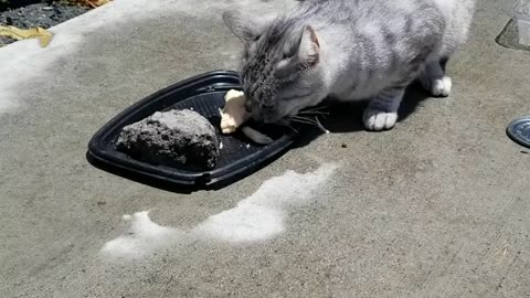 20230626 130631 BirthdayEating