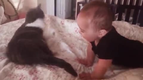 Dog and babies and family