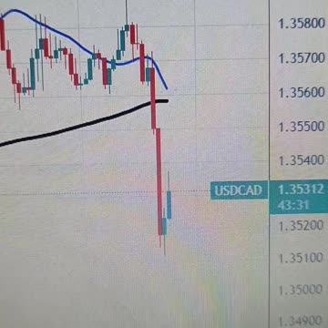 Canadian Dollar bounces up as weak US services data hits US Dollar