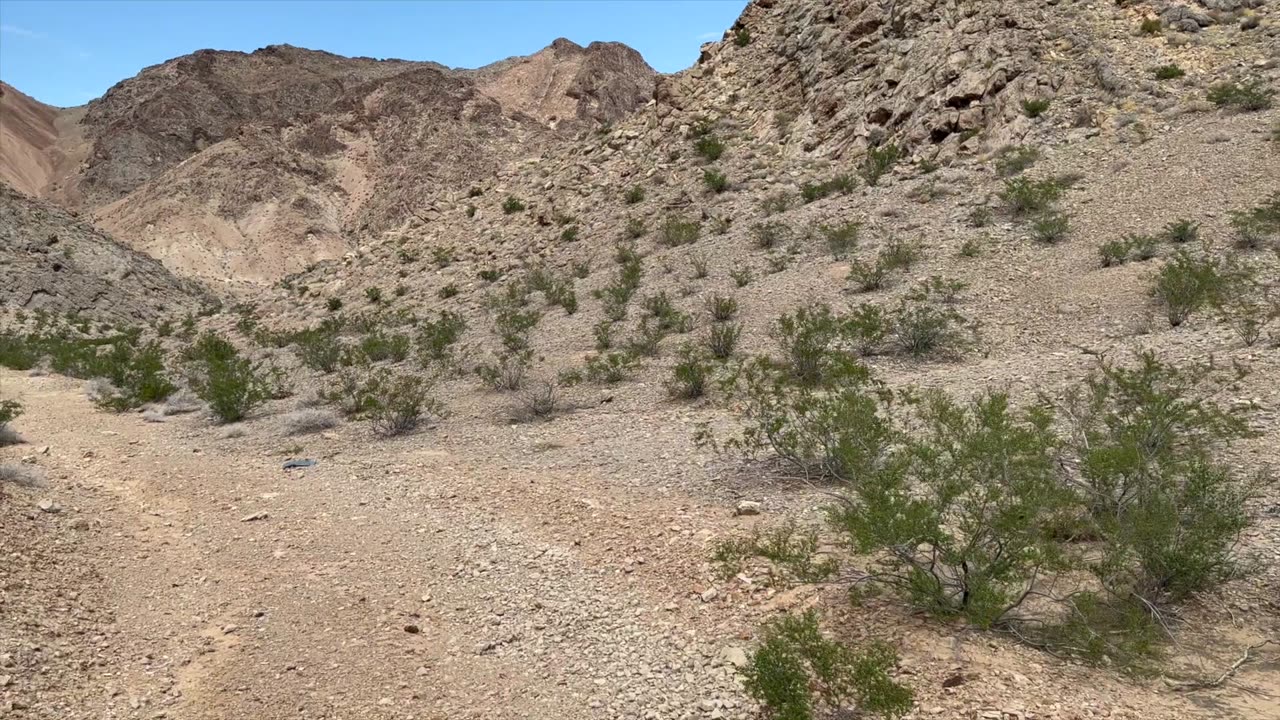 A walk in the Nevada desert outside of Las Vegas.