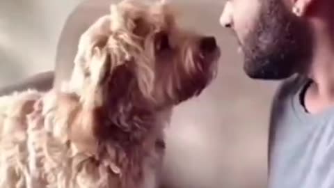 Funniest Cat And Dogs 😂 Funny Animal Videos 2022