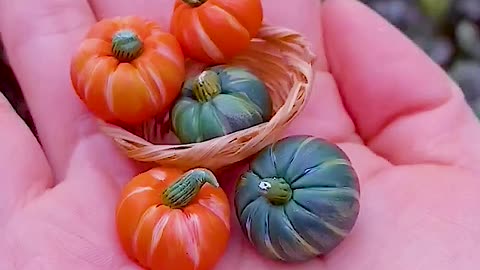 What a shock! This pumpkin is actually made of clay