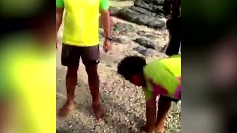 Beached and injured dugong rescued by Thai villagers