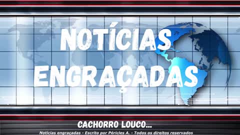 Notícias engraçadas: Cachorro louco...