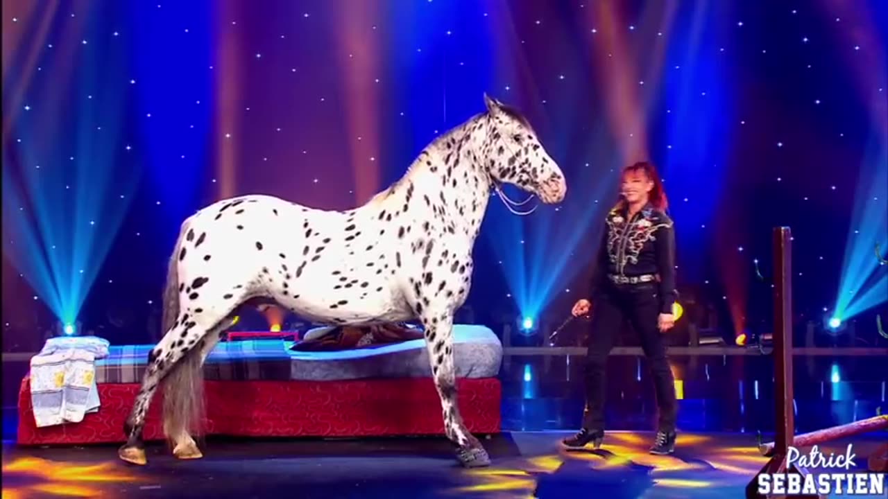 Rosi Hochegger - Dressage de Cheval / LE PLUS GRAND CABARET DU MONDE