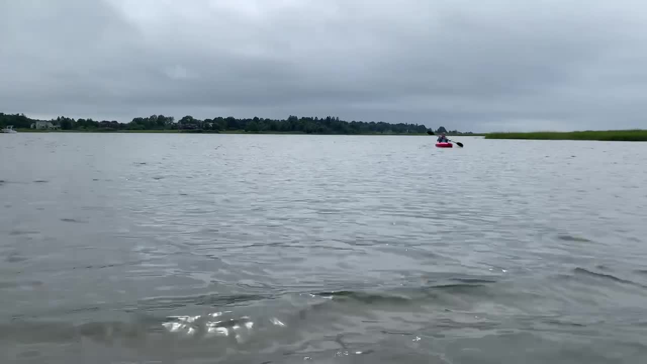 Omus Kayaking Old Lyme 8/10/21