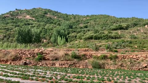 Summer is hot, and the towering mountains in the distance are very beautiful to watch.