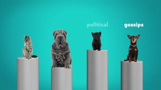 Purina TLC Snippets New Pet - Gold Promax Winner