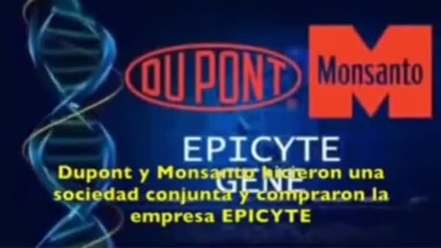 Epycite anticuerpos para esperma