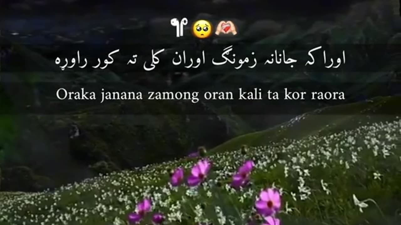 Pashto song