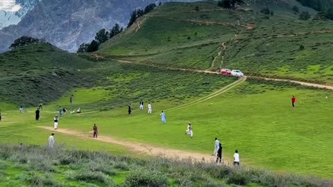 Cricket