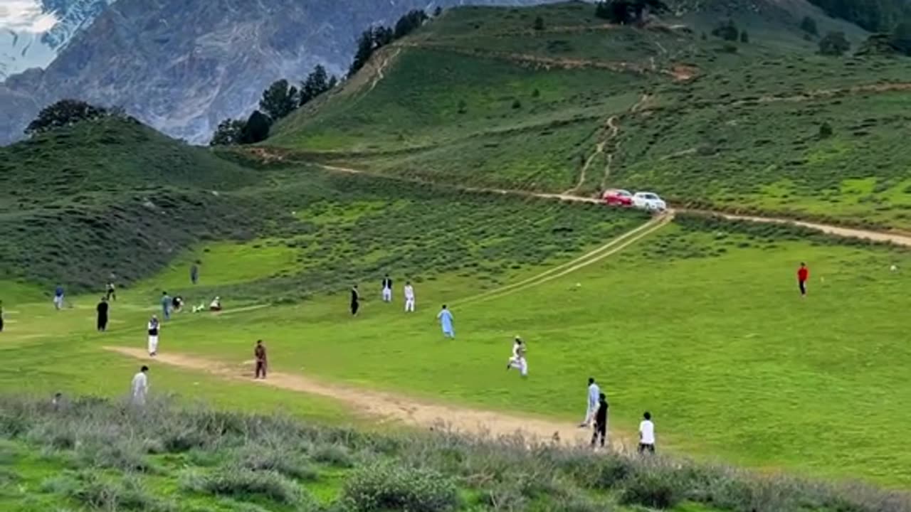 Cricket