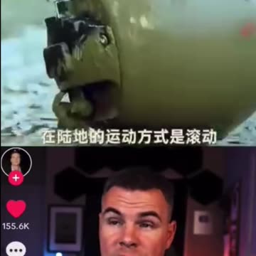 The Chinese Police Robot Ball.