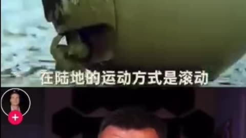 The Chinese Police Robot Ball.