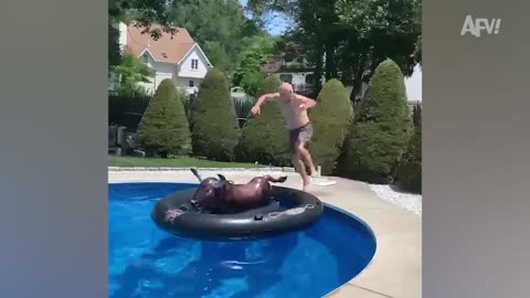 Hilarious Water Slips And Falls! AFV 2023