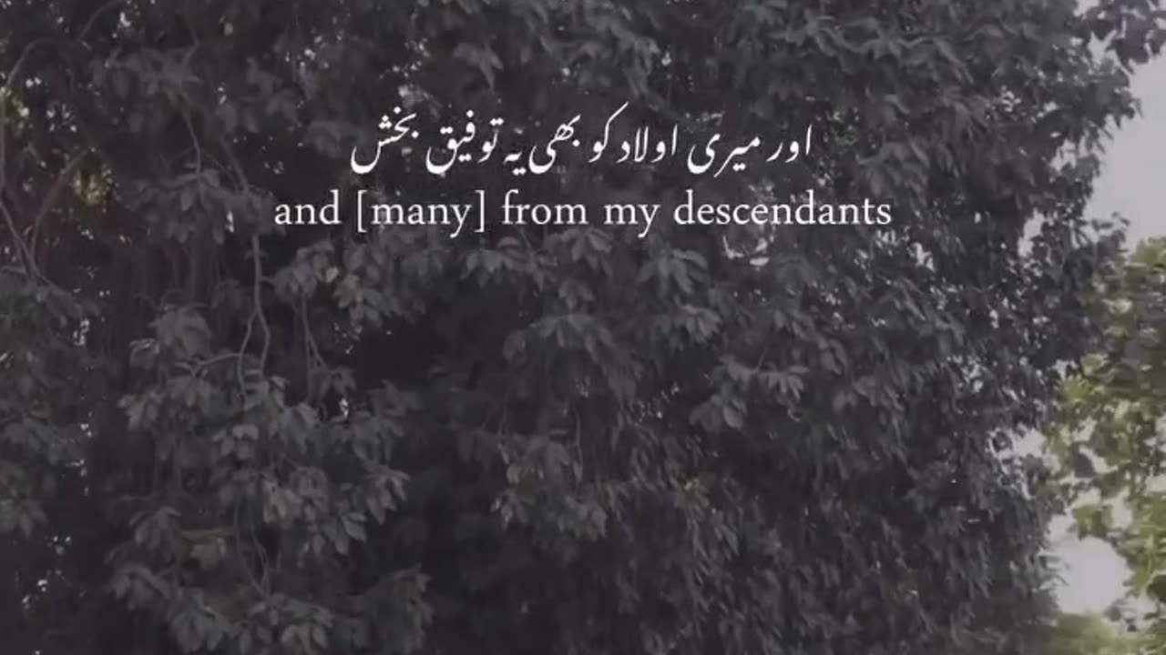 Dua in Surah Ibraheem for Parents | islamic duas in Quraan