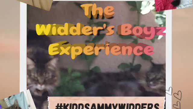 Kidd & Sammy Widders