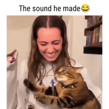 "Meow and Behold: Unraveling the Curious Traits of a Cat's Reaction"