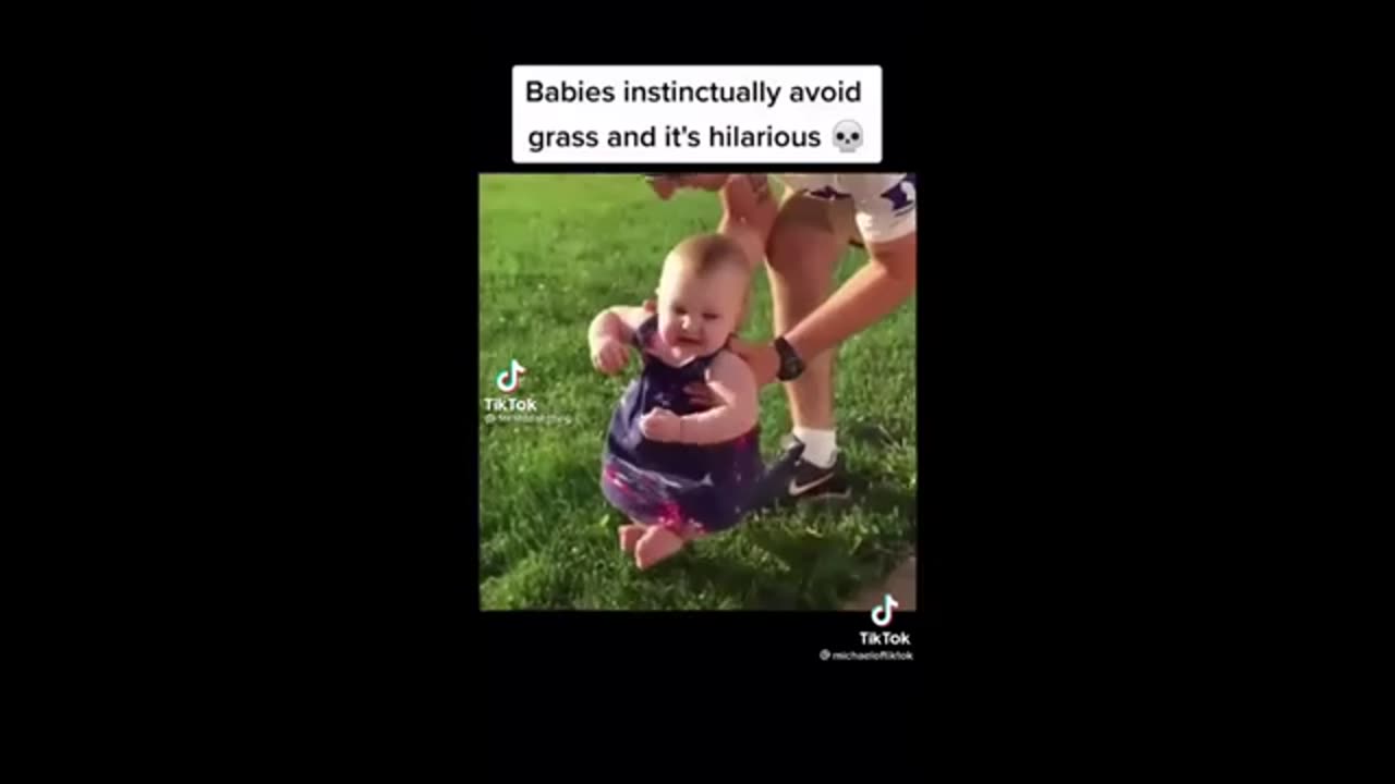 Funny videos