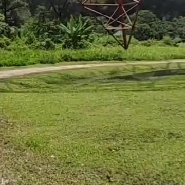 MY VIDEO OF OF THE PYLON IN THE TEMPLE PARK.