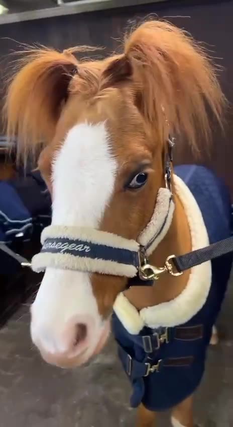 That’s just embarrassing imho