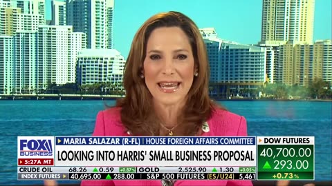 'DISASTER': GOP rep grills Kamala Harris' small business proposal