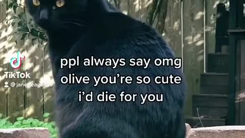 😈
