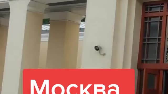 Birds are dying in Russia