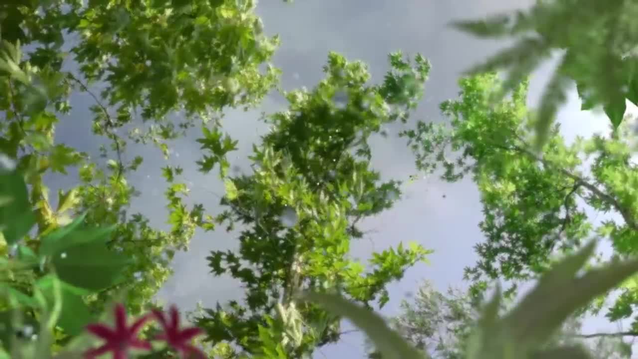 Spritzer Silica-Rich Natural Mineral Water