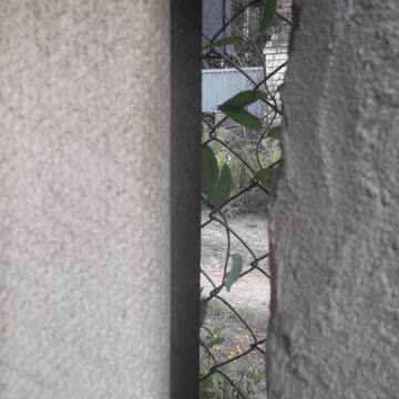 An old village trick