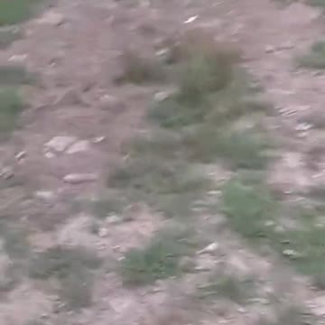 This short went viral. Have you seen it?