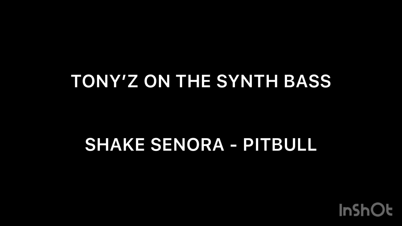 TONY’Z ON THE SYNTH BASS - SHAKE SENORA (PITBULL)