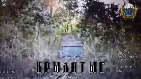 Russian fiber-optic FPV drone strike on a camouflaged Ukrainian BMP-2 in a forest belt. Kursk region