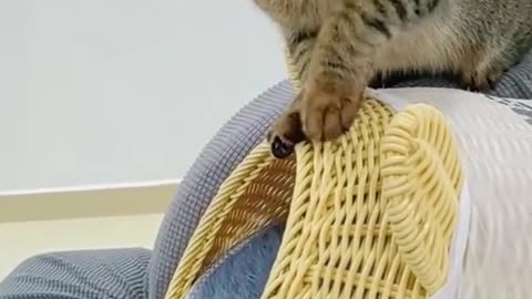 I'll hit you if you point to it.