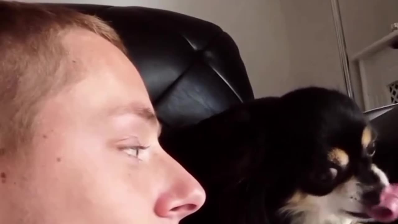 Funny dog sneaky kiss